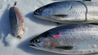 fishingbc.jpg