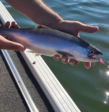Stump Lake fishing.jpg