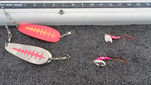 Chrome Catchers Kokanee lures.jpg
