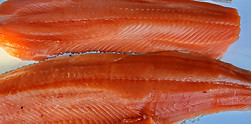 South Thompson Chinook Fillet.jpg