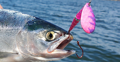 Stump Lake kokanee.jpg