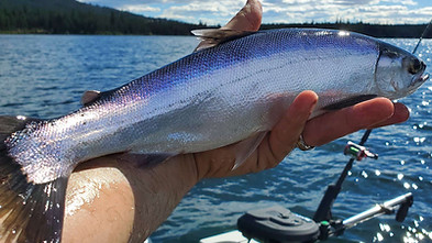 kokanee fishing.jpg