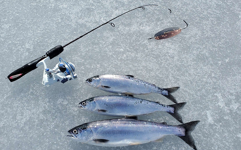 kokanee ice fishing.jpg