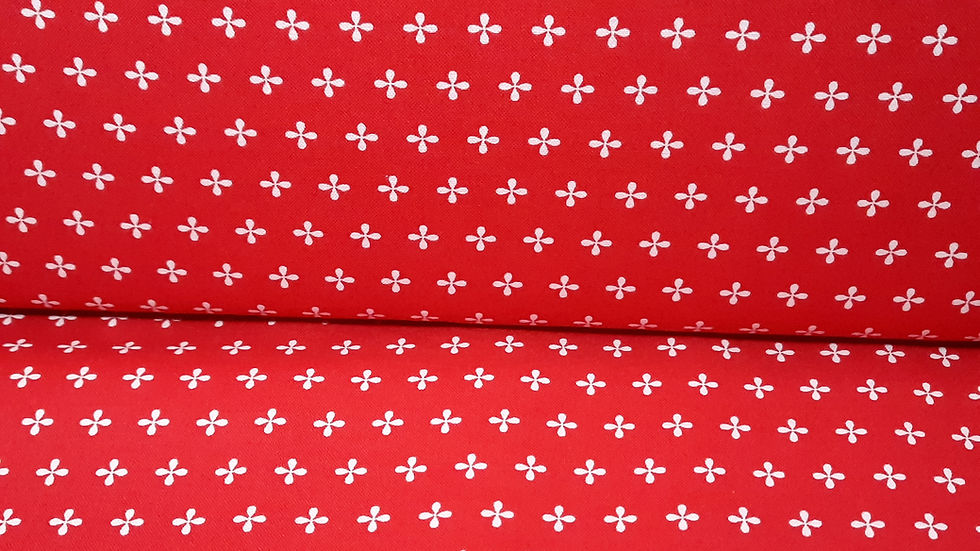 Orchard April Rosenthal, eplekjerner hvit på rød, 0,5 meter