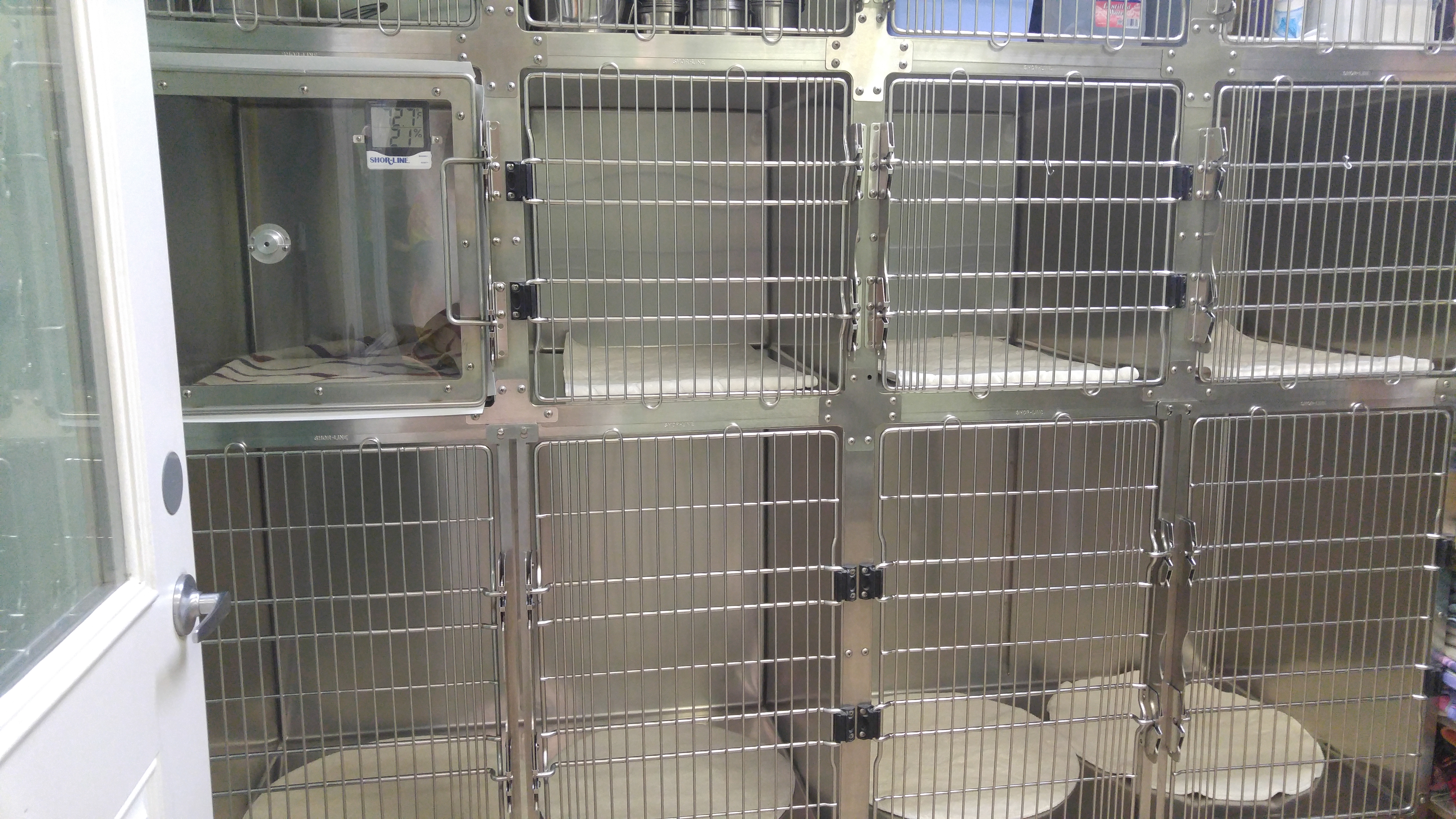 Large and medium cages