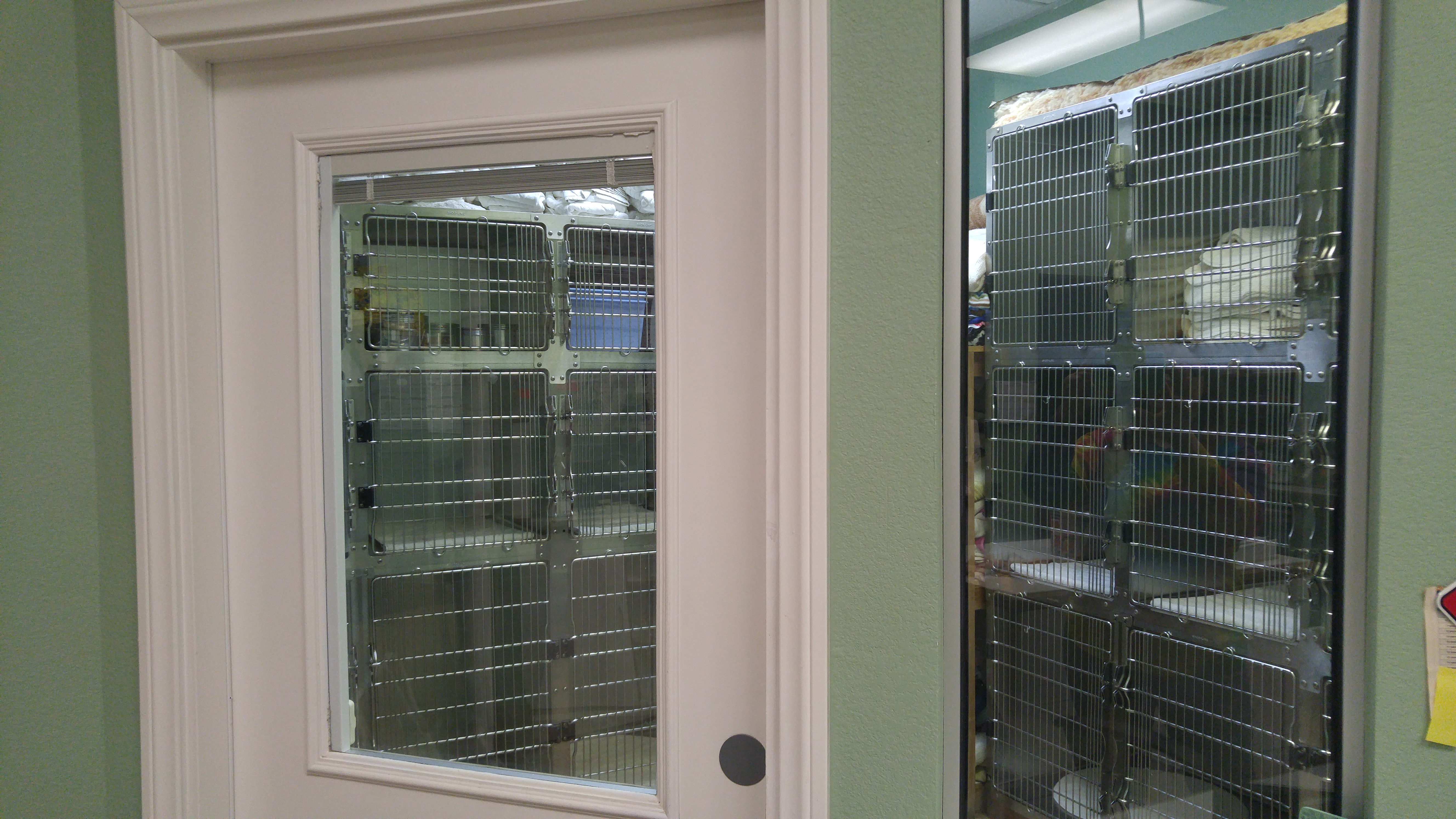 Kennel area