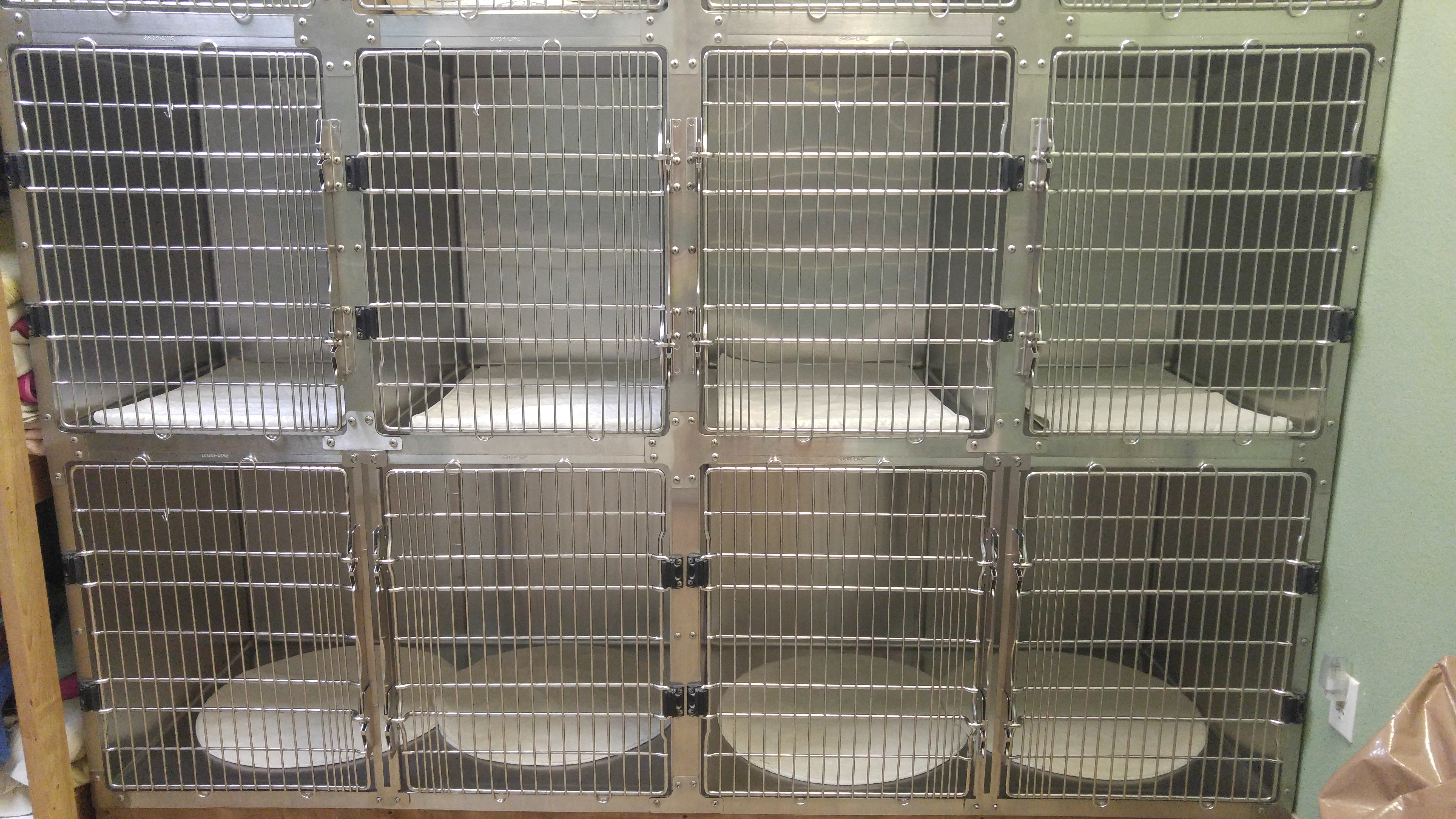 Large and medium kennels