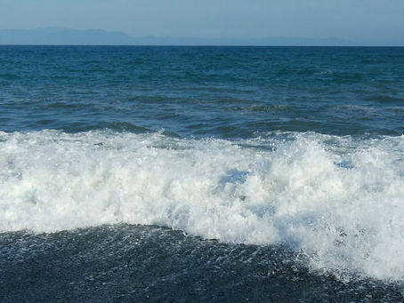 新しい活動体制