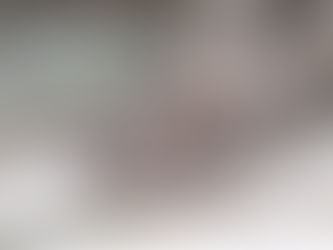 サメ幼魚解剖集会