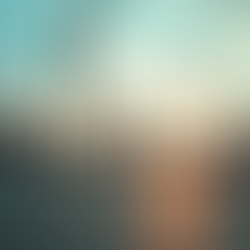 Maximizing Investments Through Strategic Project Acquisition