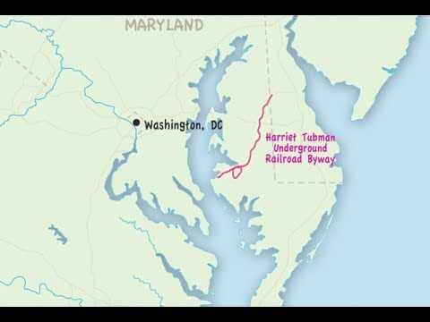 MAP9