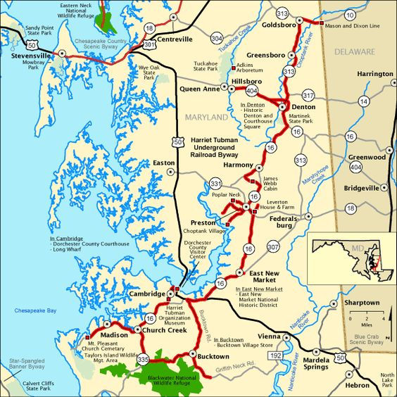 MAP14