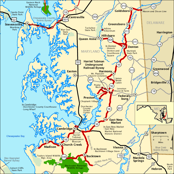 MAP4
