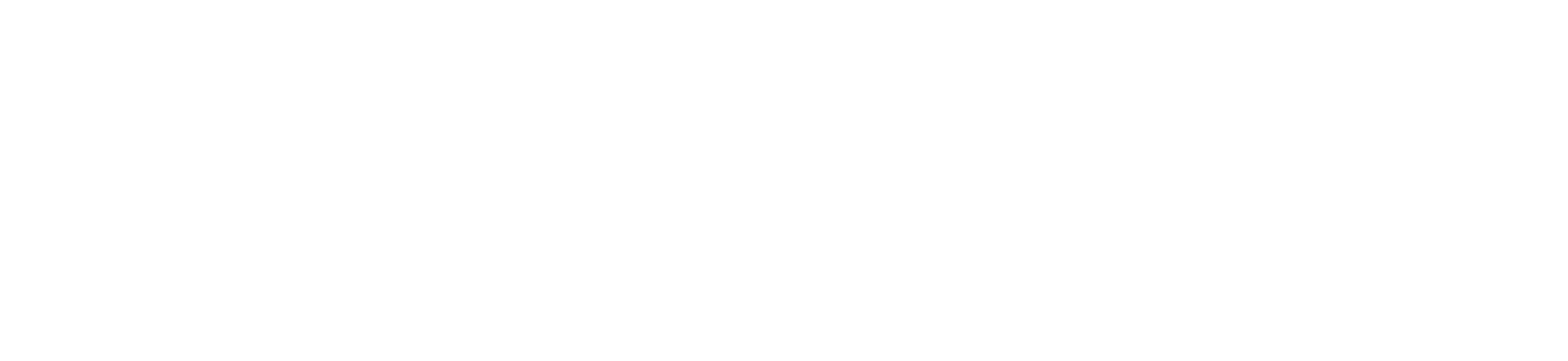 vaulter_wordmark_white.png