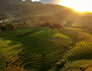 Cadapdapan Rice Terraces Bohol