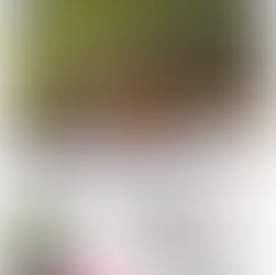 キックオフイベント開催のお知らせ