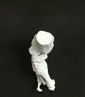 Impressió 3D model ossi a partir de TC, Escaneig 3D, impressió 3D, Barcelona