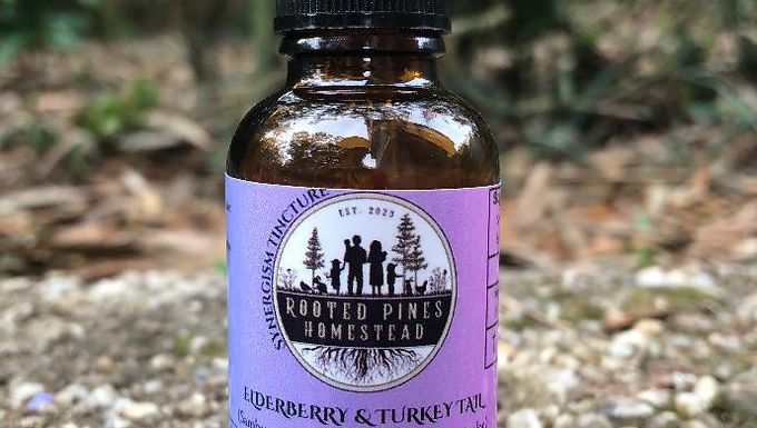 ELDERBERRY + TURKEY TAIL SYNERGISM TINCTURE 30ml