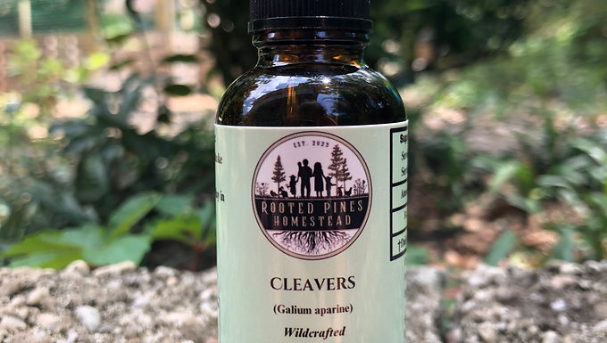 CLEAVERS TINCTURE 30ml