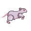 rat run gif.gif