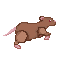 Rat run.gif
