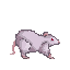 rat idle gif
