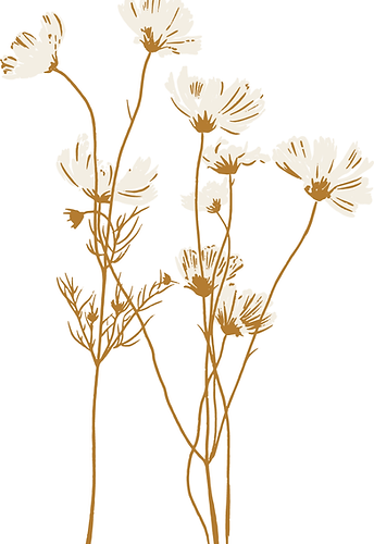 Fleurs sauvages.png