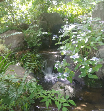 柏の葉公園