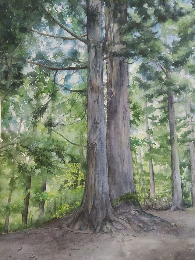 水彩画「近くの神社」 水彩画「近くの神社」