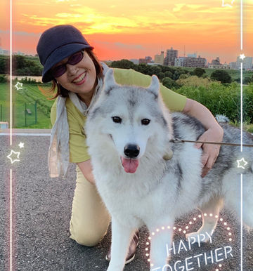 夕日とハスキー犬