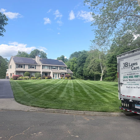 5 Signs Your Property Needs Professional Landscaping