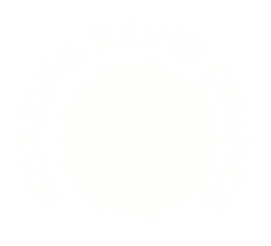 Logo Blume Mobbing keine Chance.png