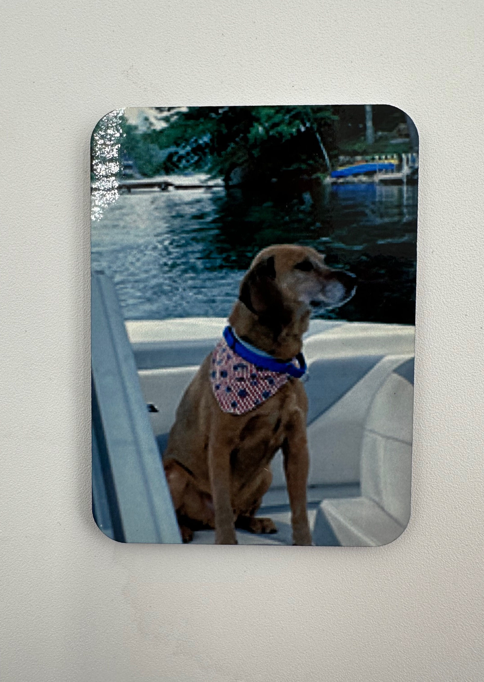 Custom Magnets