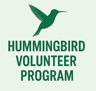 ChatGPT Image May 29, 2025, 02_06_48 AM.png