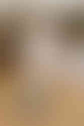 William Morris Wedding Stationery Briar Rose