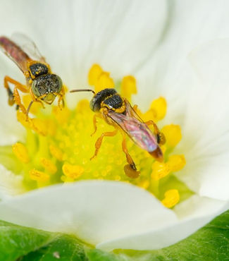 WhatsApp Image 2025-02-26 at 14.32.21.jpeg