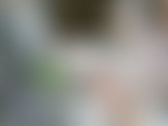 空売りとは何か？仕組みからメリット・注意点まで丁寧に解説