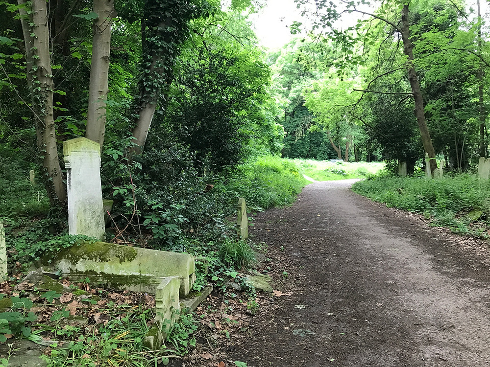 Looking back toward the clearing. We were searching for grave numbers so we could orientate the map.
