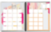 2020 Planner Open (2).png