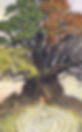 labyrinth-tree.jpg