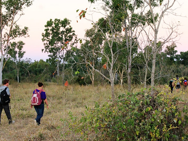 NATURE WALKYTHROUGH.png