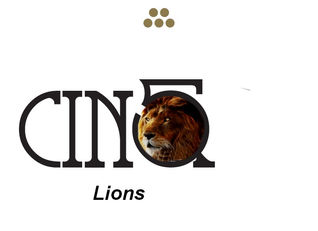 Nouvo logo group 5 lions an