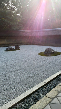 Kyoto - jardin zen,  Ryôan-ji (3)
