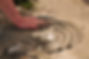 DSC_8991.JPG