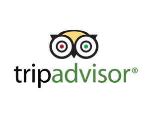 Trip Advisor