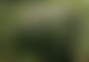 here's where to roll.