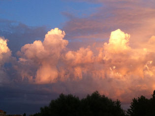 jellyfish in the sky
