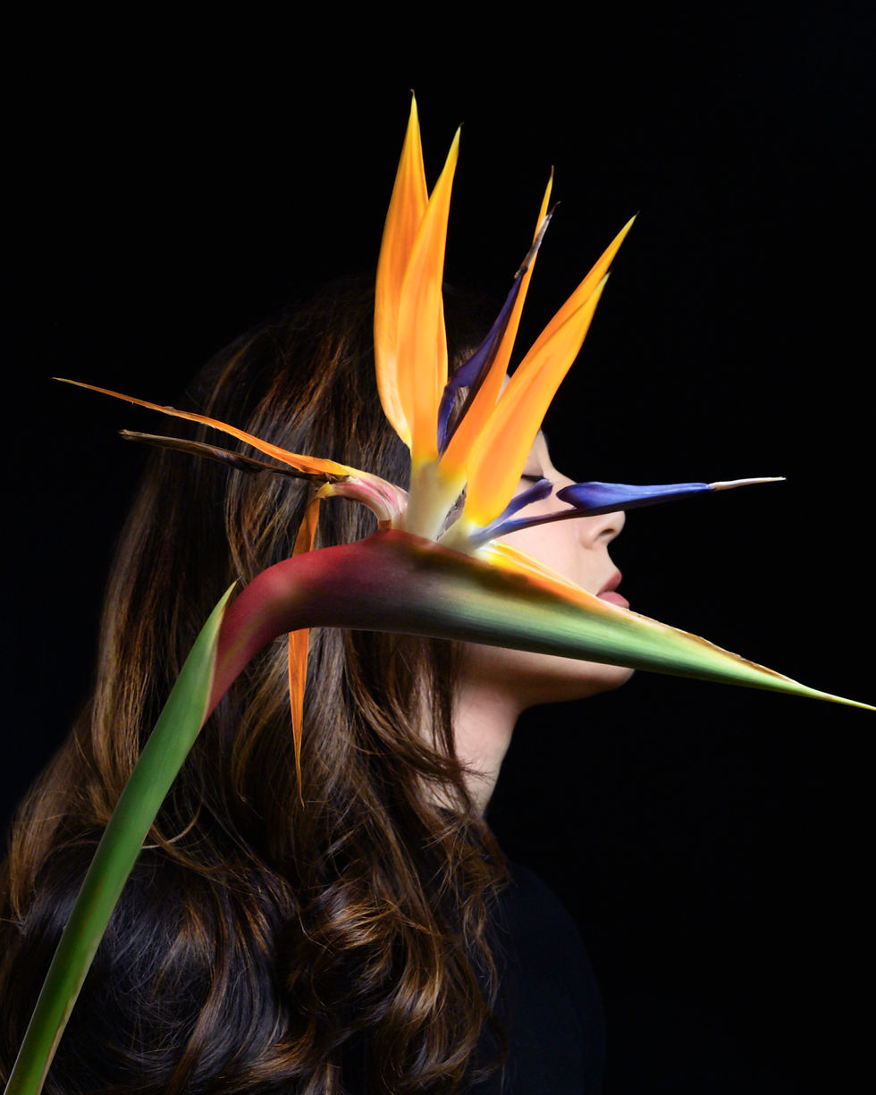 Ghazaleh_Shekarabi_Portrait_040