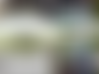 Palestra Solos - Grupo Escoteiro Browsea - 89/RS