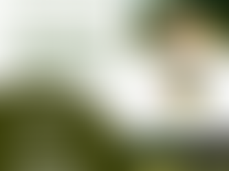 Nova Parceria em Prol do Meio Ambiente - ICA e Prefeitura Municipal de Ivoti